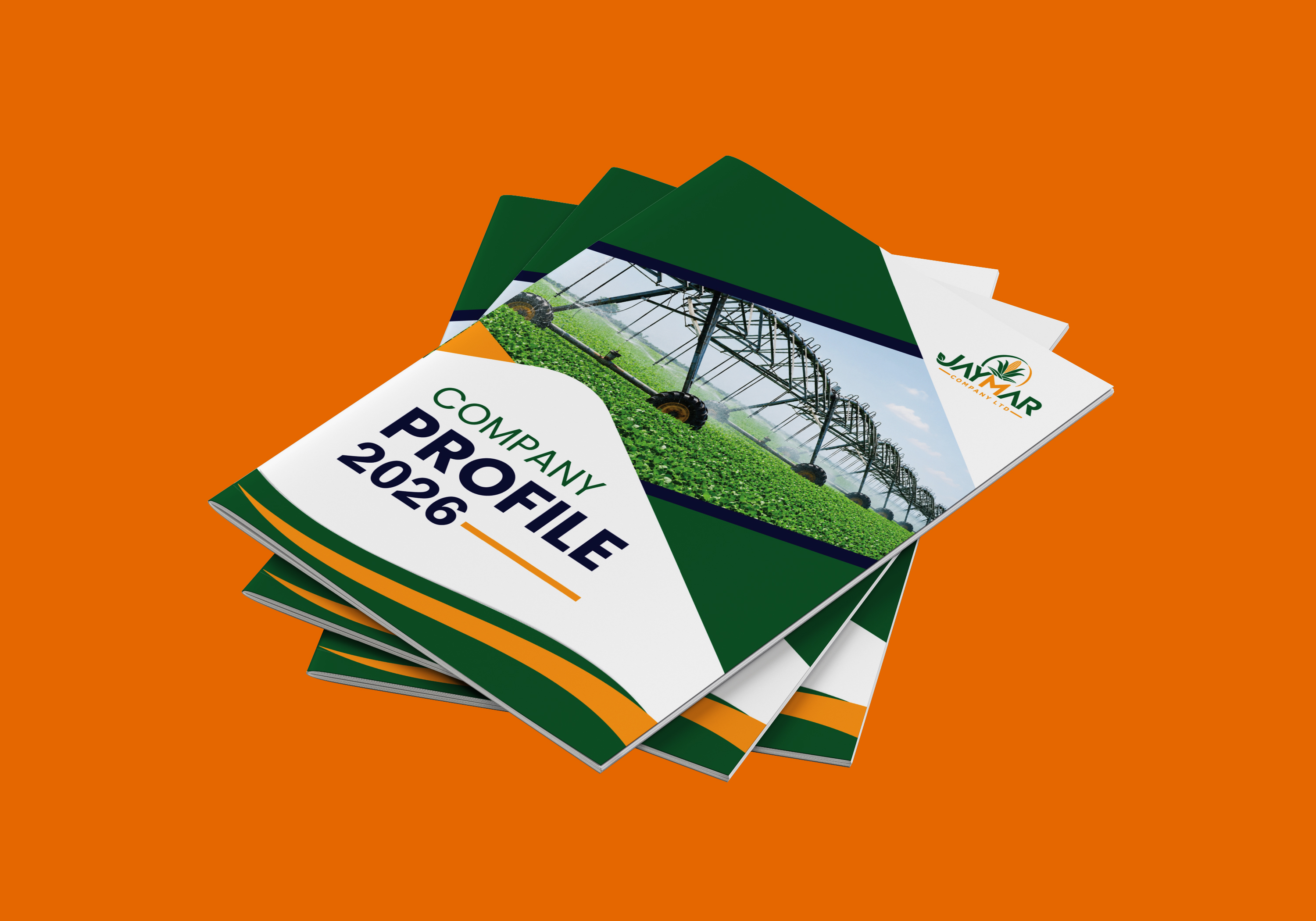 DACOLE company profile design