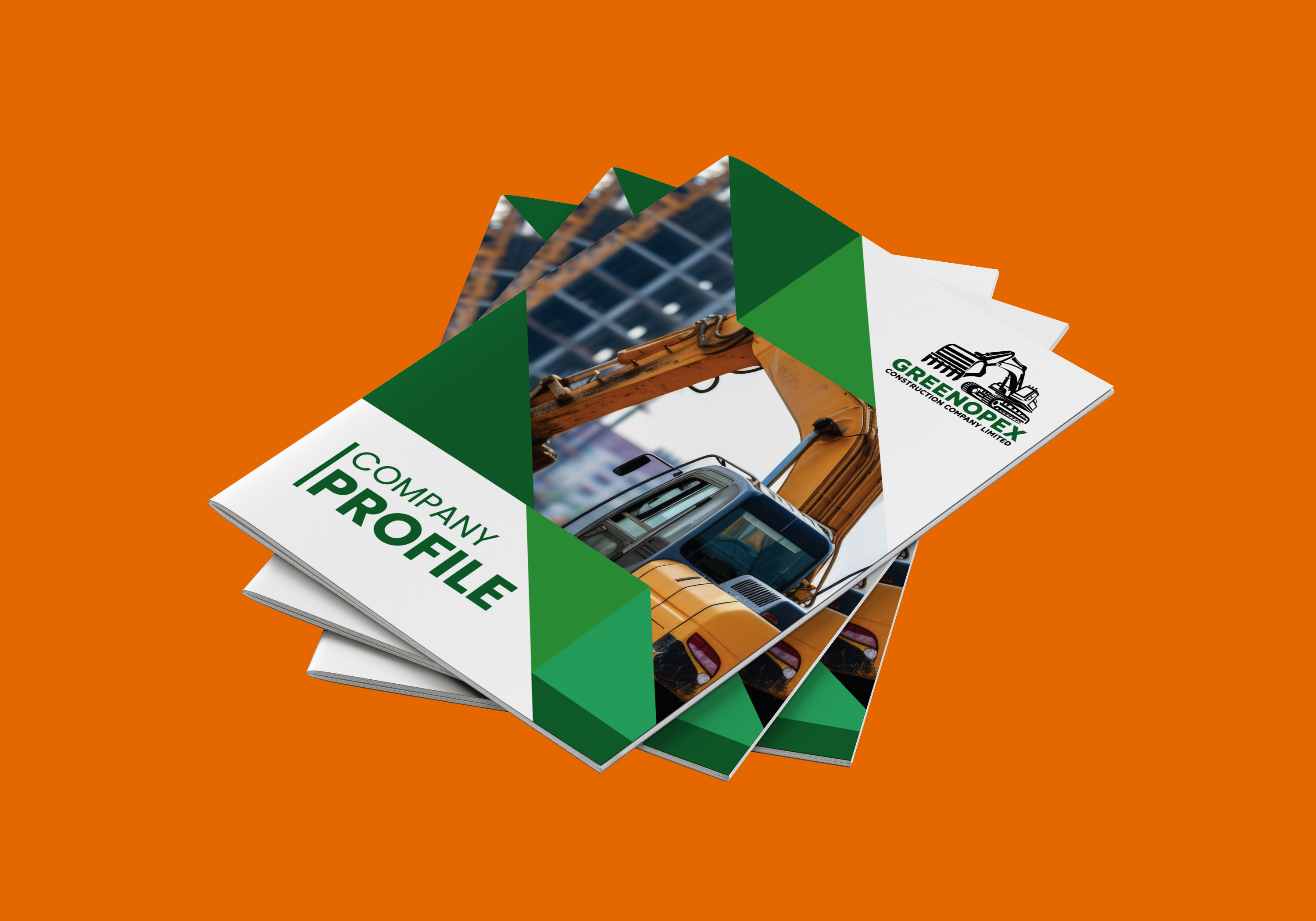 Company profile project