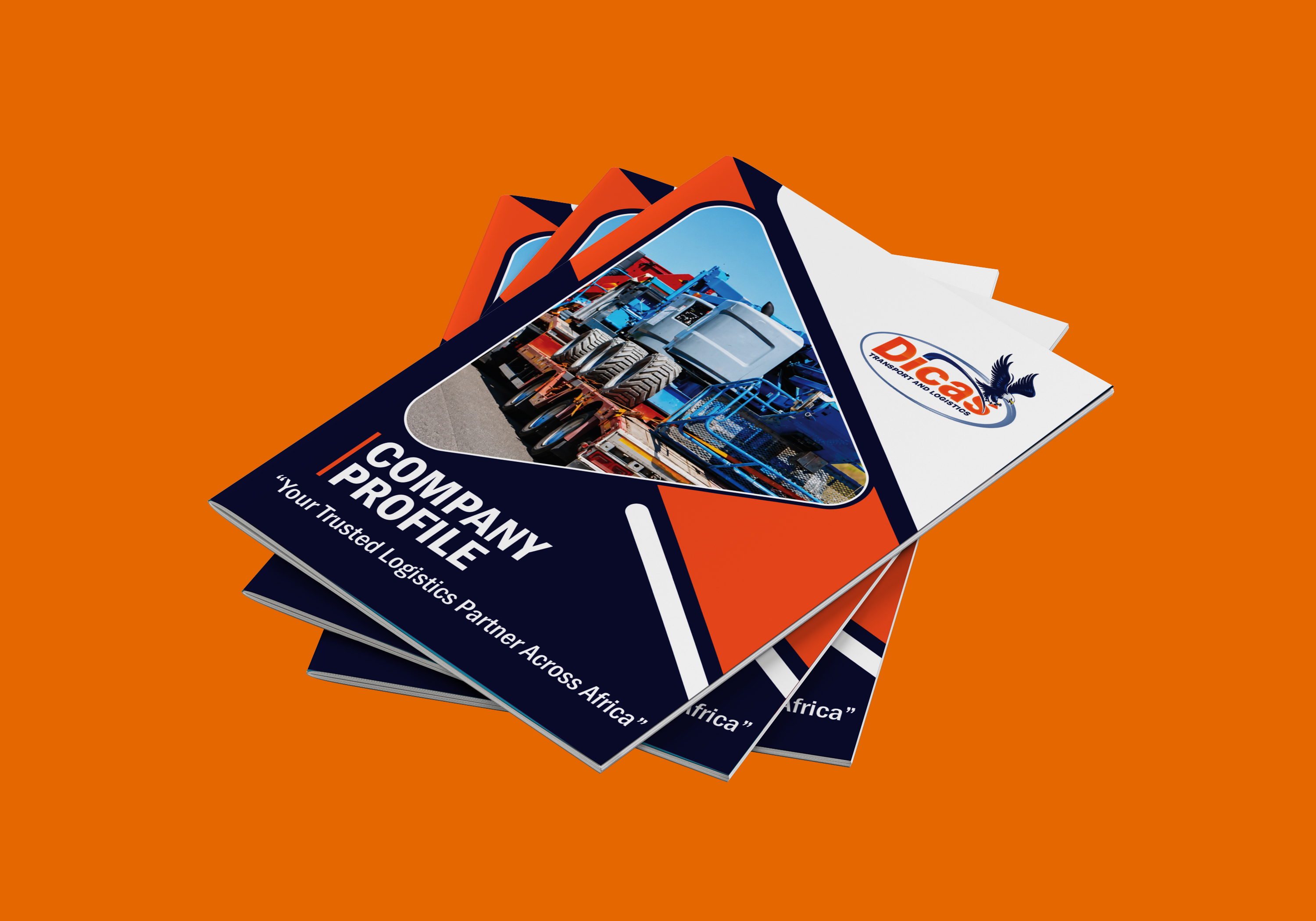 Company profile project